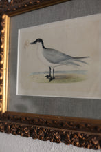 Load image into Gallery viewer, Antique Gilt Frame Hand-Painted Engraving