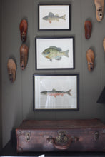 Load image into Gallery viewer, Antique Framed Fish Lithographs