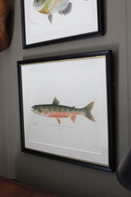 Load image into Gallery viewer, Antique Framed Fish Lithographs