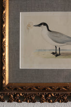 Load image into Gallery viewer, Antique Gilt Frame Hand-Painted Engraving
